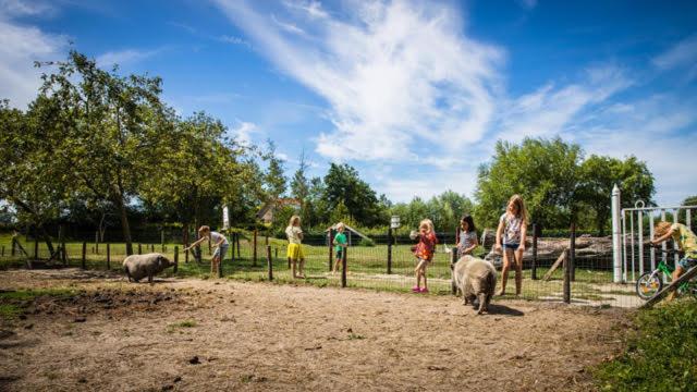 Welcome In - Oranjezon - Vakantiehuis 6 Personen Vrouwenpolder Kültér fotó